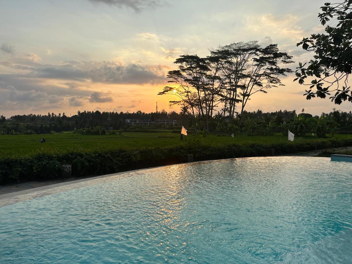 Griya Kcb Villa Ubud Zewnętrze zdjęcie