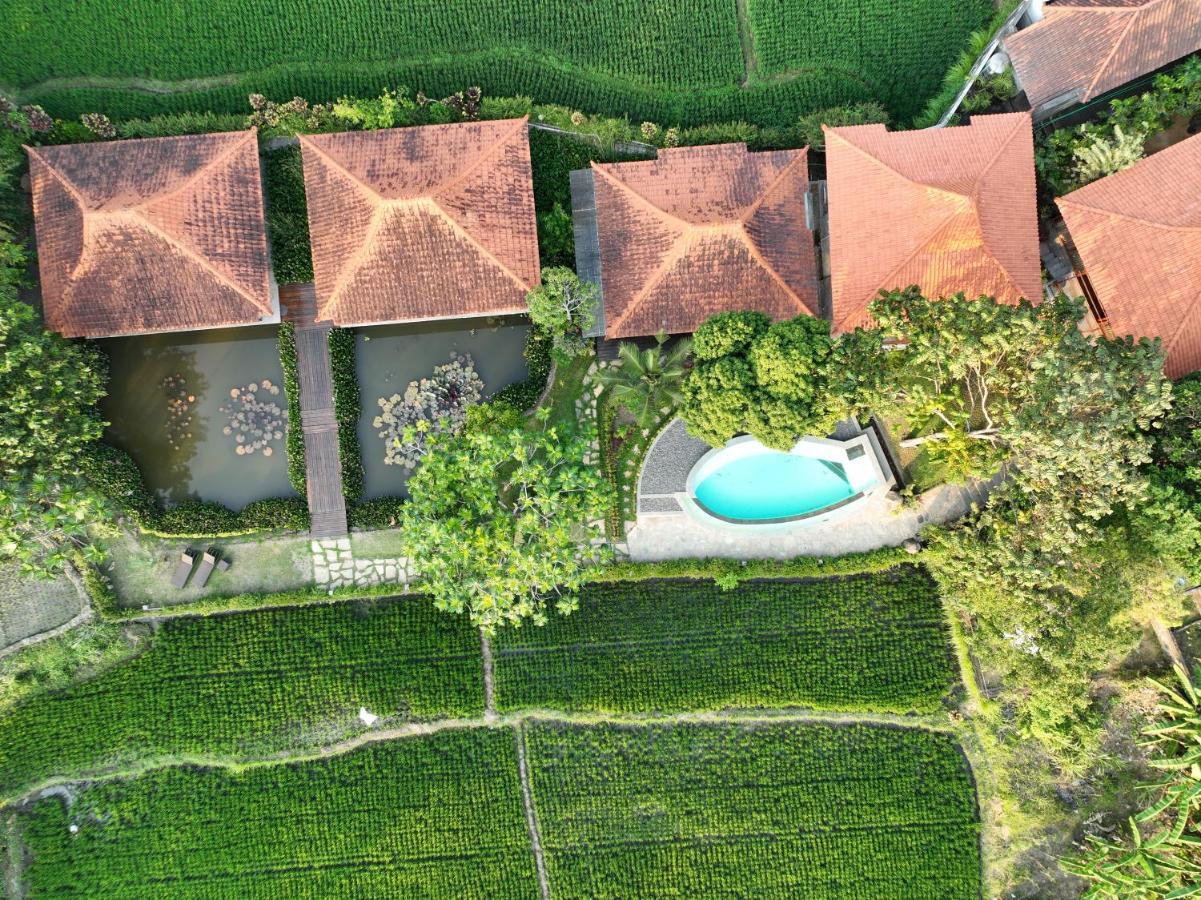 Griya Kcb Villa Ubud Zewnętrze zdjęcie
