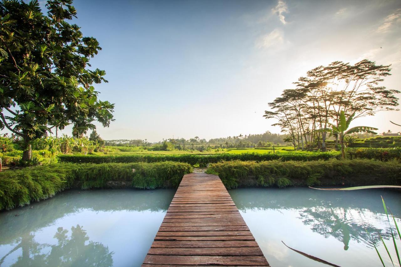 Griya Kcb Villa Ubud Zewnętrze zdjęcie