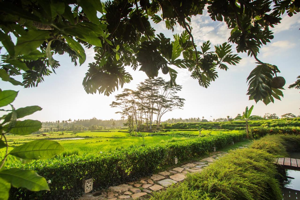 Griya Kcb Villa Ubud Zewnętrze zdjęcie