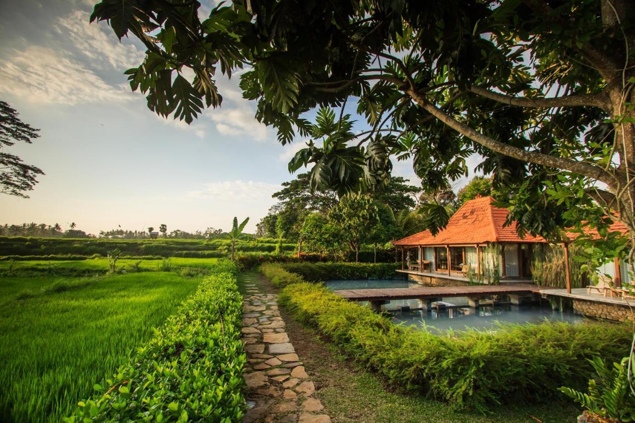 Griya Kcb Villa Ubud Zewnętrze zdjęcie