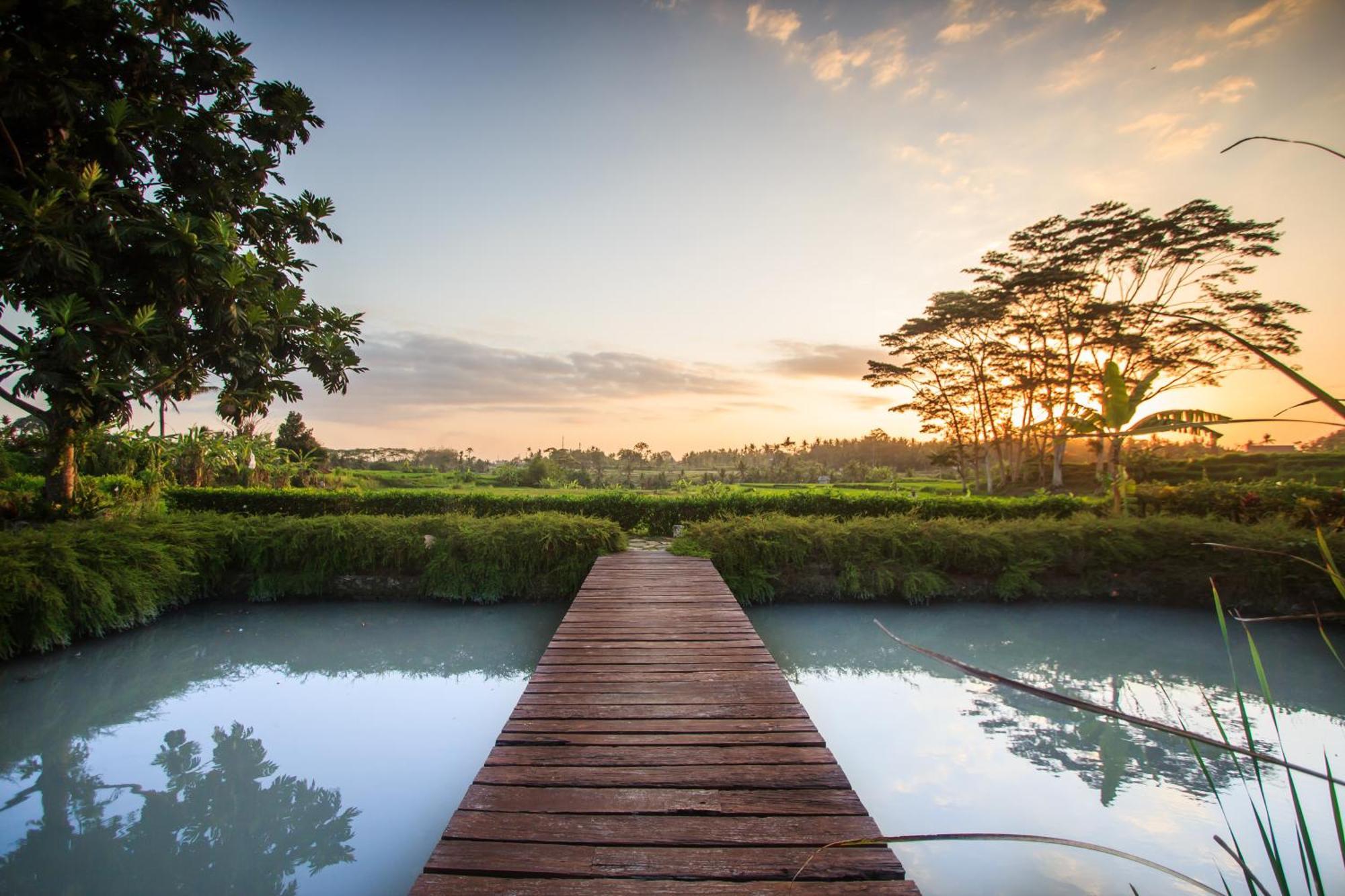 Griya Kcb Villa Ubud Zewnętrze zdjęcie