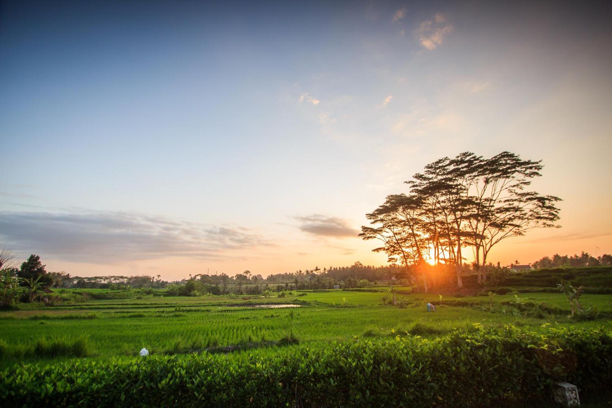 Griya Kcb Villa Ubud Zewnętrze zdjęcie