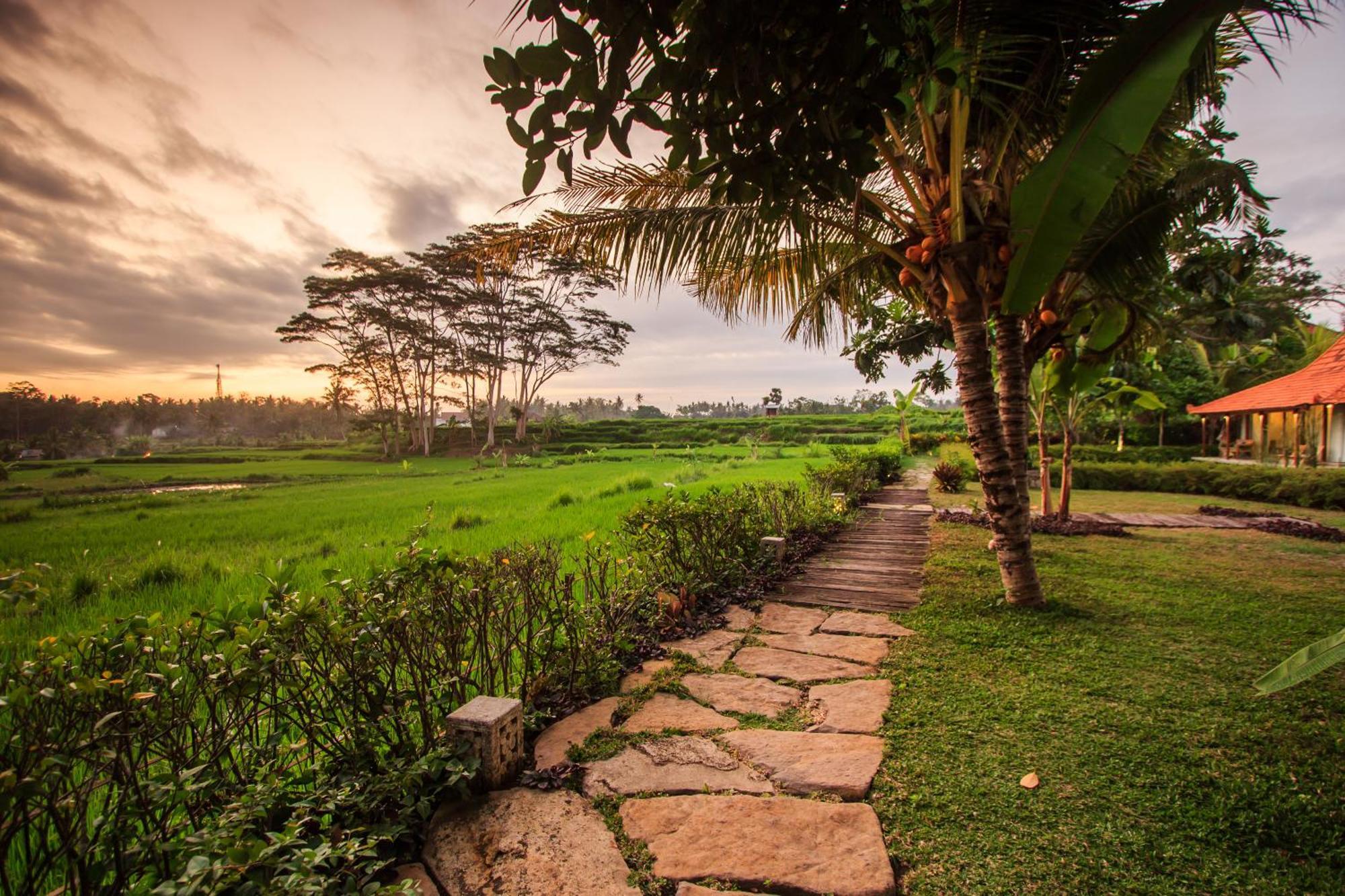Griya Kcb Villa Ubud Zewnętrze zdjęcie