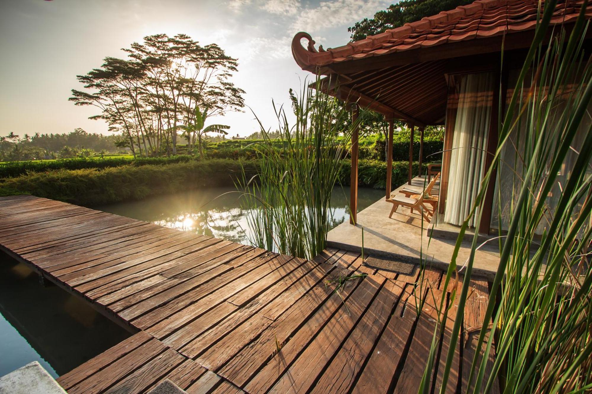Griya Kcb Villa Ubud Zewnętrze zdjęcie