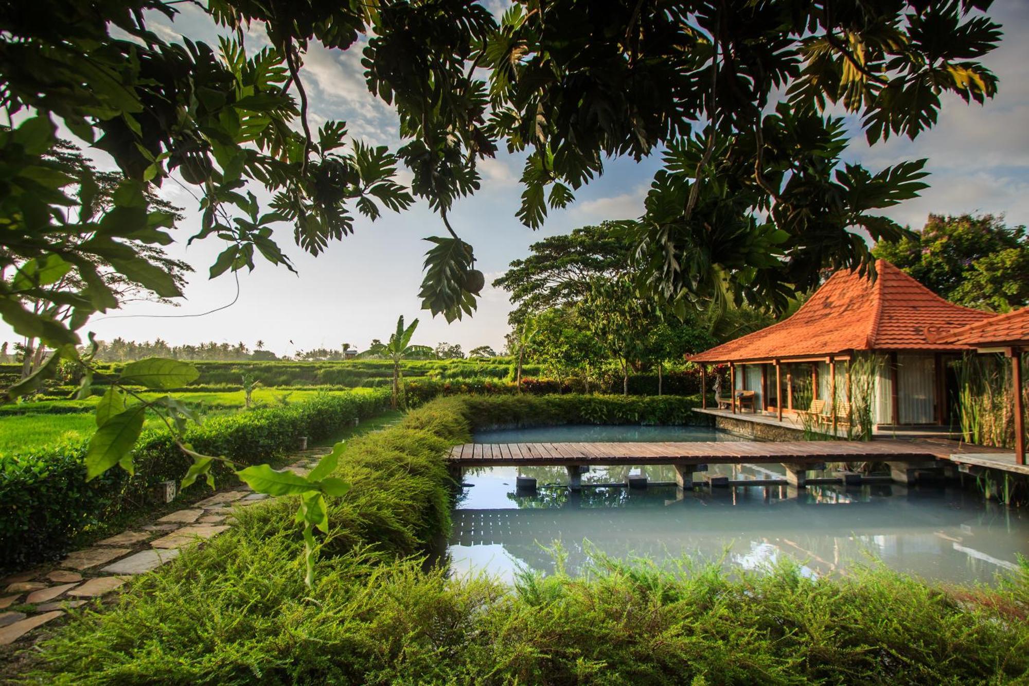 Griya Kcb Villa Ubud Zewnętrze zdjęcie